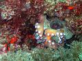 IMG_4441 r1